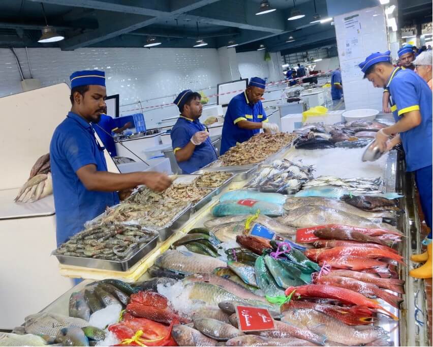 Le marché de poissons de Djeddah, le grand port de la mer Rouge – PHOTO Ian Hamel